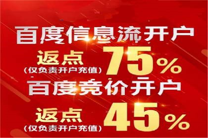 案例分析：百度推广成功案例解析
